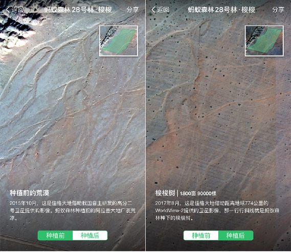 129827952_15208260346621n.jpg 129827952_15208260346621n.jpg