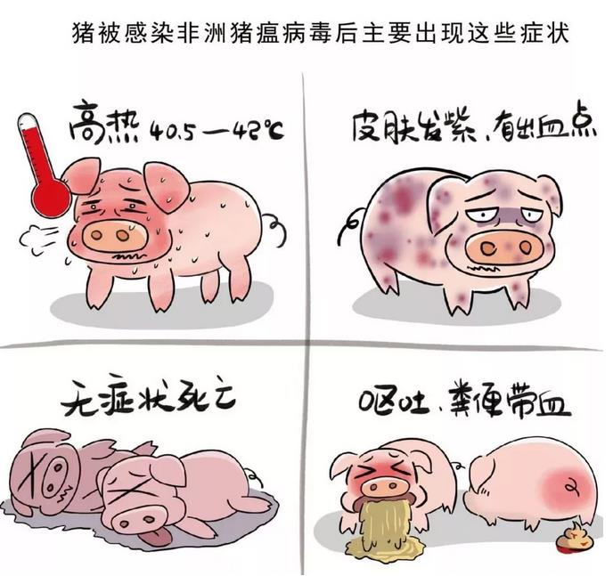 ӣڵ°ȷʶ