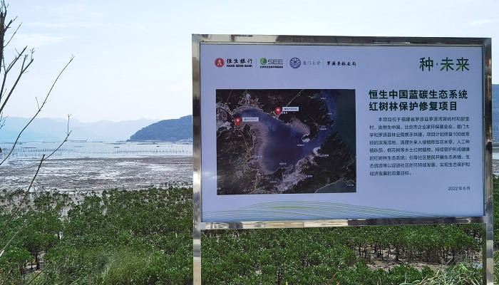 厚植绿色希望 恒生中国“种·未来”项目积极践行金融向善